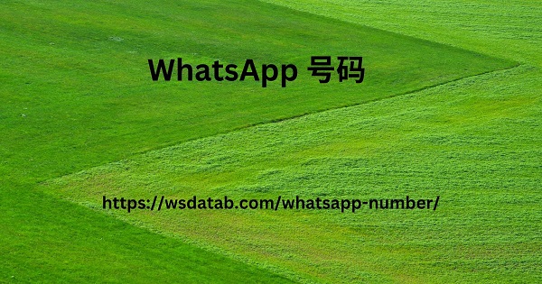 WhatsApp 号码