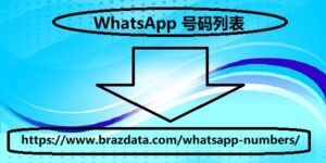 WhatsApp 号码列表