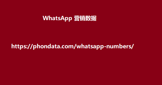 WhatsApp 营销数据